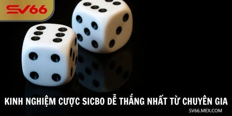 Kinh nghiệm cược Sicbo dễ thắng nhất từ chuyên gia