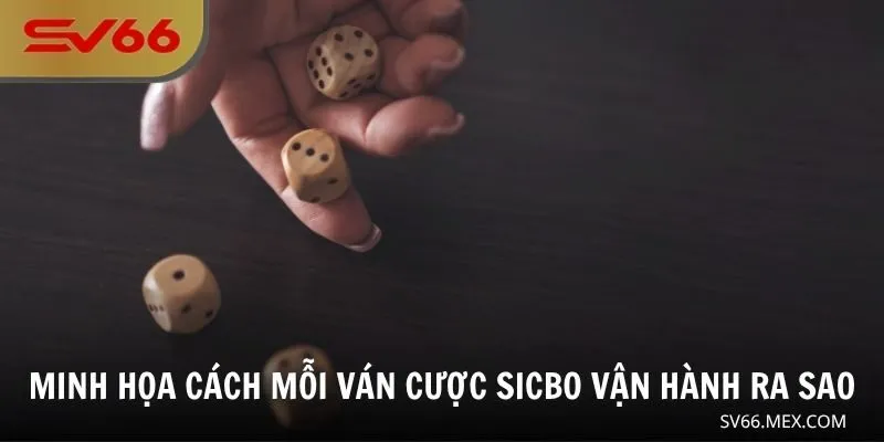 Minh họa cách mỗi ván cược Sicbo vận hành ra sao