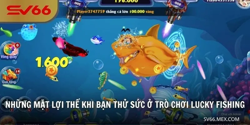 Những mặt lợi thế khi bạn thử sức ở trò chơi Lucky Fishing