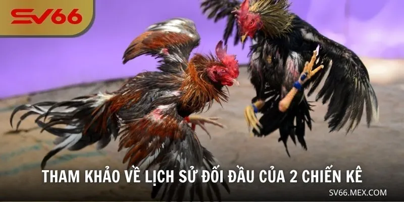 Tham khảo về lịch sử đối đầu của 2 chiến kê